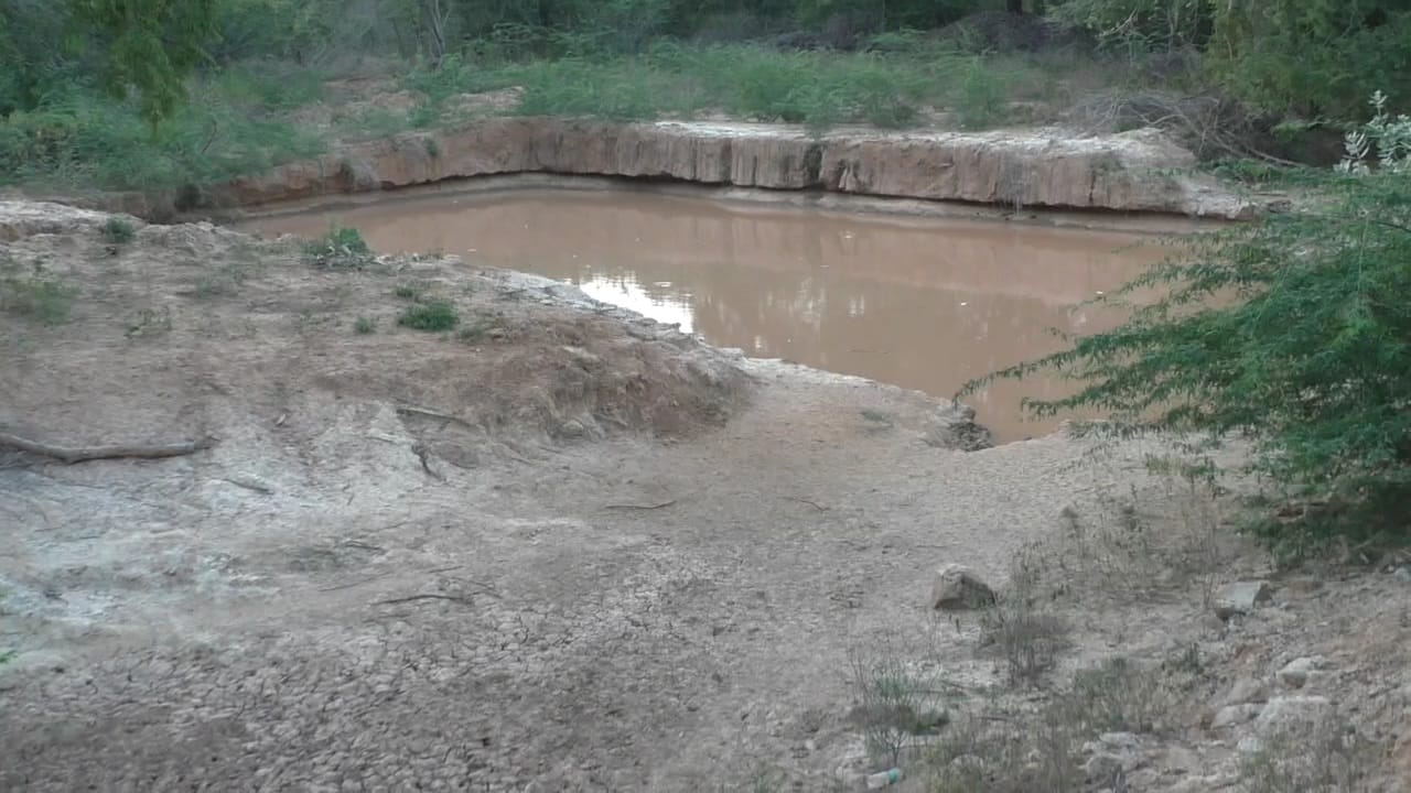 அரூர் அருகே மான்கள் உணவு, தண்ணீர் தேடி வனப்பகுதியை விட்டு வெளியேறும் அபாயம்