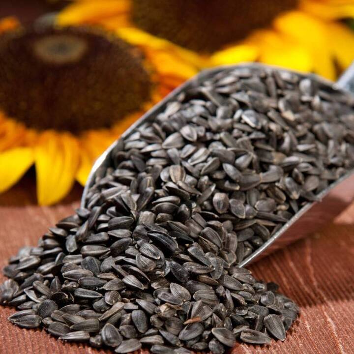 Sunflower Seeds-ਸੂਰਜਮੁਖੀ ਦੇ ਬੀਜ ਔਸ਼ਧੀ ਗੁਣਾਂ ਨਾਲ ਭਰਪੂਰ ਹੁੰਦੇ ਹਨ, ਜੋ ਸਰੀਰ ਨੂੰ ਕਈ ਬਿਮਾਰੀਆਂ ਤੋਂ ਬਚਾਉਂਦੇ ਹਨ। ਇਹ ਬੀਜ ਪ੍ਰੋਟੀਨ, ਕੈਲਸ਼ੀਅਮ ਵਰਗੇ ਤੱਤਾਂ ਨਾਲ ਭਰਪੂਰ ਹਨ। ਤਾਂ ਆਓ ਜਾਣਦੇ ਹਾਂ ਸੂਰਜਮੁਖੀ ਦੇ ਬੀਜਾਂ ਦੇ ਫਾਇਦੇ।