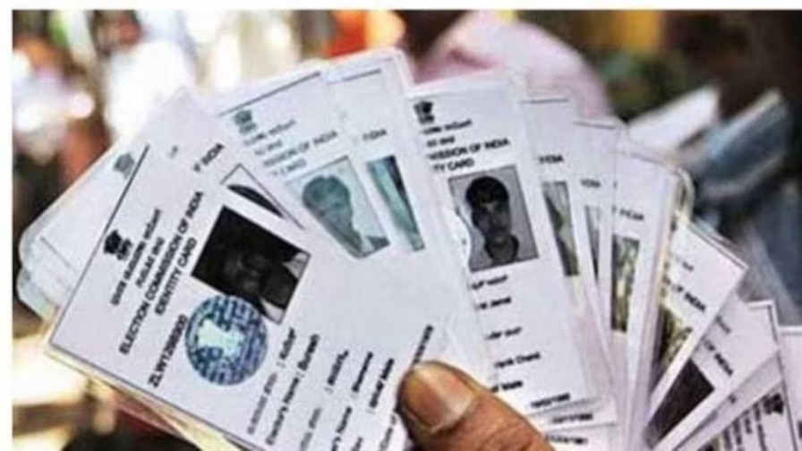 Utility News: How to make election card at home before Lok Sabha elections Find out what documents are required | Voter ID Card: લોકસભા ચૂંટણી પહેલા ઘરે બેઠા કેવી રીતે બનાવશો ચૂંટણી