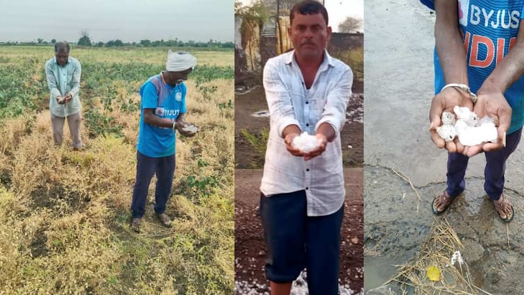 Vidharbha Unseasonal Rain Update unseasonal rain crisis again in vidarbha farmers cotton gram crops should  Major damage maharashtra vidarbha news Vidharbha Unseasonal Rain Update : विदर्भात अवकाळी पाऊस, गारपिटीचा कहर; कापसाच्या वाती झाल्या, शेतकऱ्यांचे अतोनात नुकसान