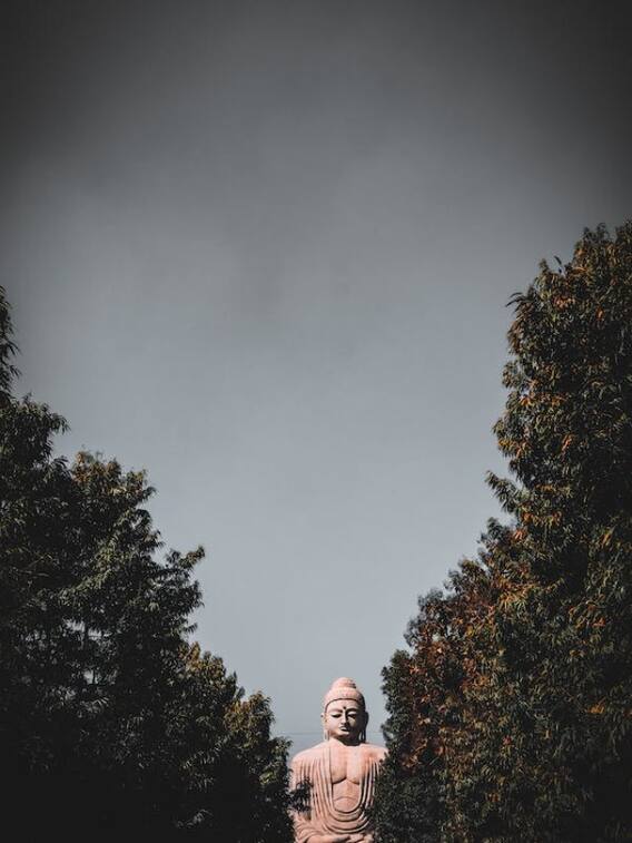 कितने राज्यों से लगती है बिहार की सीमा?