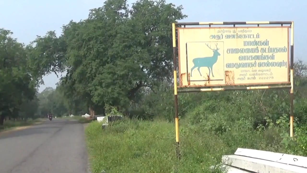 அரூர் அருகே மான்கள் உணவு, தண்ணீர் தேடி வனப்பகுதியை விட்டு வெளியேறும் அபாயம்