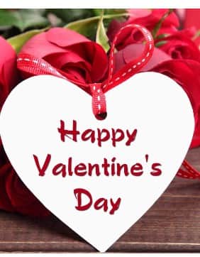 ਵੈਲੇਨਟਾਈਨ ਡੇ 'ਤੇ ਪਤਨੀਆਂ ਨੂੰ ਕੀ ਤੋਹਫ਼ਾ ਦਿੰਦੇ ਪਤੀ ? ਜਾਣੋ