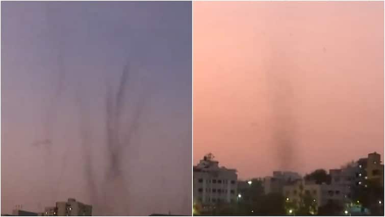 Pune Mula Mutha River Swarm of Mosquitoes Tornado Watch Video Trending Users React Maharashtr Pune: Swarm of Mosquitoes Form ‘Tornado’ Due To Surge In River's Water Levels, Video Goes Viral
