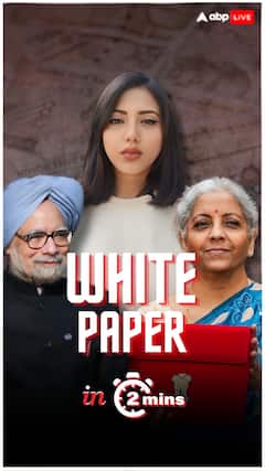 What Is 'White Paper'?