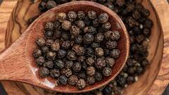 Black Pepper Benefits :   काळी मिरी रक्तदाब नियंत्रणासाठी उपयोगी, असे करा सेवन