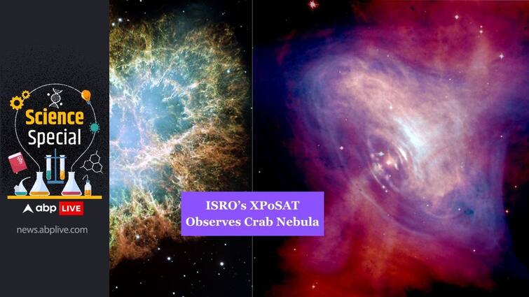 XPoSAT ISRO Black Hole Mission POLIX Payload Observes Crab Pulsar Know Interesting Facts Cosmic Lighthouse Manish Purohit ABPP XPoSAT: ISRO Black Hole Mission Observes Crab Pulsar. Know Interesting Facts About These 'Cosmic Lighthouses'