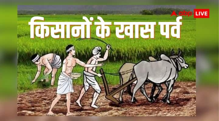 Harvest Festival: किसान को धरती पुत्र और अन्नदाता कहा गया है. हिंदू धर्म में ऐसे कई तीज-त्योहार हैं, जोकि किसानों के लिए बहुत खास माने जाते हैं. जानते हैं भारत में मनाए जाने वाले लोकप्रिय फसल उत्सव.