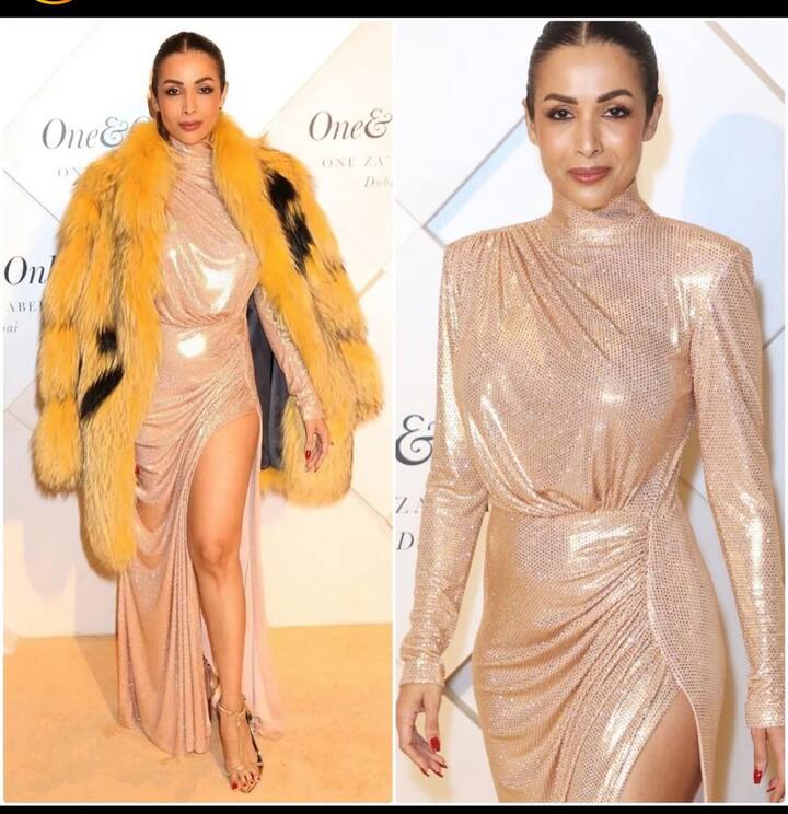 'छैय्या छैय्या', मुन्नी बदनाम हुई डार्लिंग तेरे लिए या गाण्यांमुळे मलायकाला विशेष लोकप्रियता मिळाली. (PC:/malaikaaroraofficial/IG)