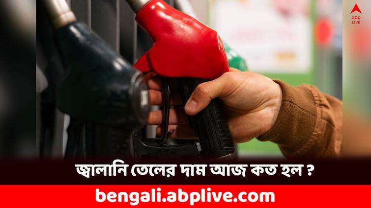 Petrol Price and Diesel Price today on 13 February in Kolkata Petrol Diesel Price: নয়ডায় কমল পেট্রোল-ডিজেলের দাম, রাজ্যে আজ কত হেরফের জ্বালানি তেলের দামে ?