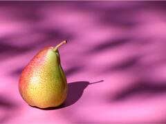 Want To Keep Your Bladder Healthy And Happy? Include These Foods In Your Diet Without Any Delay