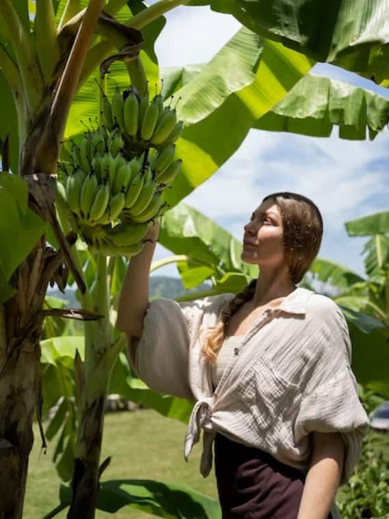 ये हैं वो 10 राज्य जहां केले का उत्पादन सबसे ज्यादा होता है