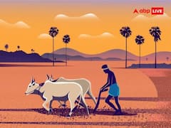 Harvest Festival: किसानों के लिए बहुत खास हैं ये पर्व, जानिए भारत में मनाए जाने वाले लोकप्रिय फसल उत्सव