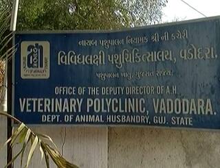Vadodra: વડોદરા પશુચિકિત્સાલયમાં દવા-ઇન્જેકશનની ખરીદીમાં ગેરરીતિ, જાણો વધુ વિગતો