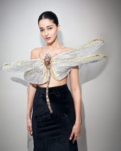 Ananya Pandey : అనన్య పాండేపై జాలి చూపిస్తున్న తెలుగు ఫ్యాన్.. తూనీగ ఎగిరిపోతే పరిస్థితి ఏంటో అంటూ నిట్టూర్పు