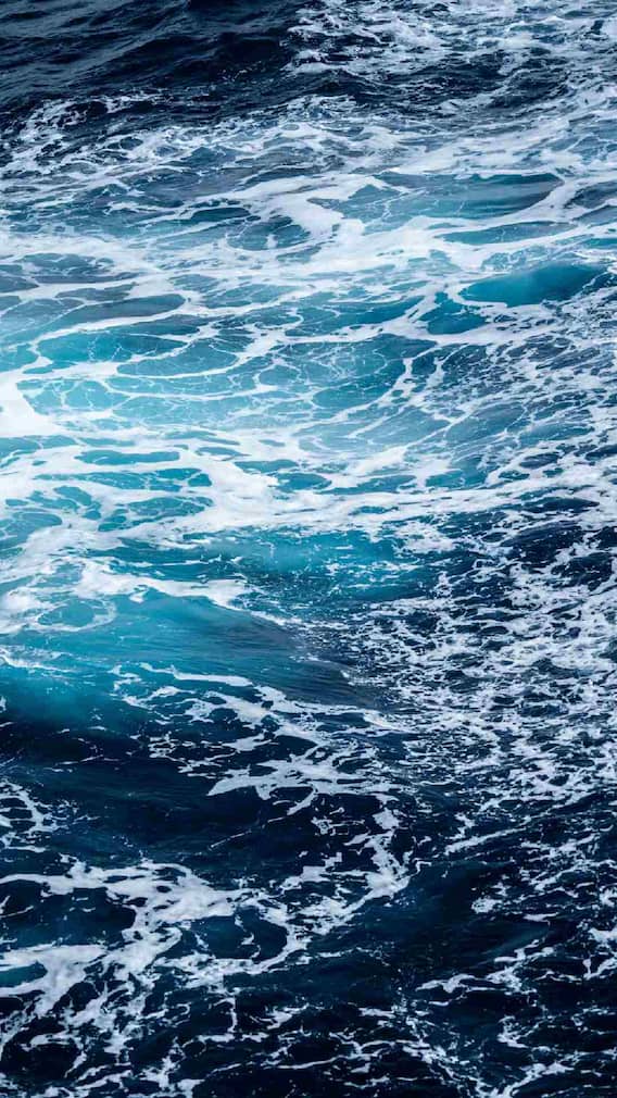 नदीचं पाणी गोड, समुद्राचं पाणी खारट; असं का असतं ?