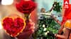 Valentines Day - காதலர் தினத்தில் கரைசேருமா ஓசூர் ரோஜாக்கள்?