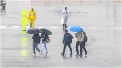 Weather News: વીજળીનાં કડાકા-ભડાકા સાથે વરસાદ પડશે, હવામાન વિભાગે એલર્ટ જાહેર કર્યું