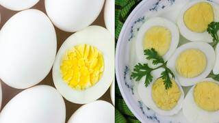 Egg for Weight Loss: वजन कमी करण्यासाठी रोज खा अंडी; पण कशी, उकडून की तळून?