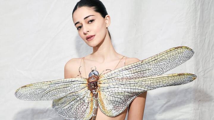 Ananya Pandey Photos : బాలీవుడ్ హీరోయిన్ అనన్య పాండే తన లేటెస్ట్ లుక్స్​ని సోషల్ మీడియాలో షేర్ చేసింది. తూనీగలు, సీతాకోక చిలుకలు కలిగిన దుస్తులు ధరించి అందరినీ ఆశ్చర్య పరిచింది.