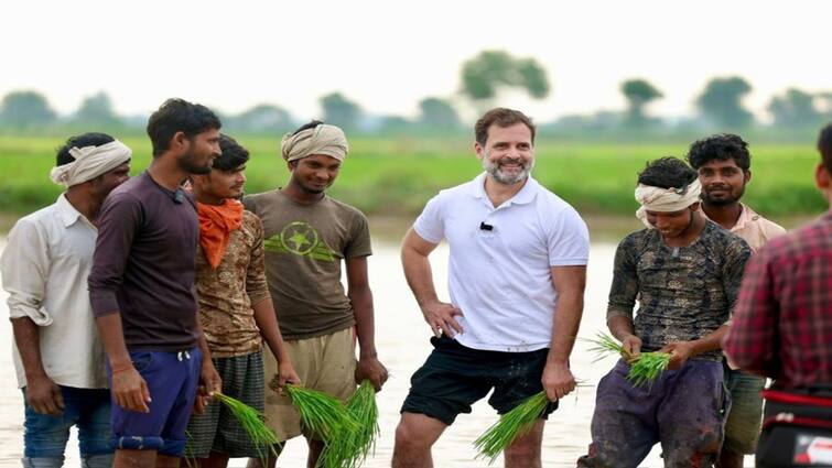 Congress decided to give legal guarantee of MSP to every farmer on crops Says Rahul Gandhi MSP: விவசாயிகளுக்கு ஆதரவாக களத்தில் குதித்த காங்கிரஸ்.. ராகுல் காந்தியின் முதல் தேர்தல் வாக்குறுதி!