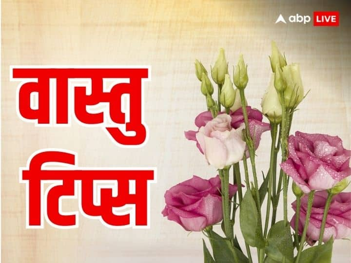 Vastu tips for home these plants increase bad luck in the house Vastu Tips: घर में दुर्भाग्य बढ़ाते हैं ये पौधे, लगाते ही घर में आने लगती है कंगाली