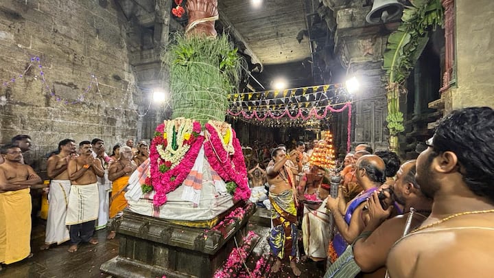 The highlight of the festival, theppam or temple float festival, is scheduled for February 23. (Credit: ABP Nadu)