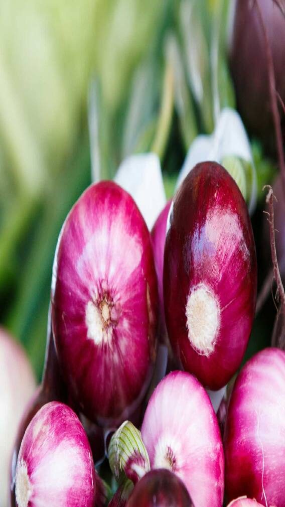 भारतातील या राज्यांत घेतलं जातं सर्वात जास्त कांदा उत्पादन...