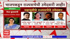 Rajyasabha Election 2024:भाजपकडून राज्यसभेची उमेदवारी जाहीर, Medha Kulkarni  यांची प्रतिक्रिया
