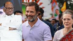 सोबत या, पक्ष विलीन करा, एकाच चिन्हावर लढू; काँग्रेसचा शरद पवारांना मोठा प्रस्ताव