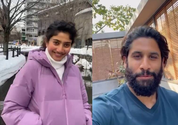 sai pallavi and naga chaitanya release thandel movie promo for valentines day Sai Pallavi: நாக சைதன்யாவுடன் ரொமான்ஸ்.. காதலர் தின வீடியோ வெளியிட்ட சாய் பல்லவி!