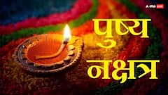 Pushya Nakshatra 2024: आने वाला है गुरु पुष्य योग, सोना-वाहन-प्रॉपर्टी खरीदने के लिए फरवरी की ये डेट है बहुत शुभ