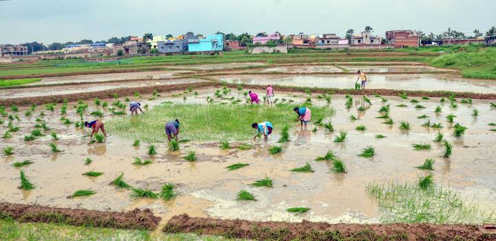 पीएम किसान योजना की अगली किस्त जारी होने से पहले आप एक बार अपने अकाउंट को अच्छी तरह से चेक कर लें.