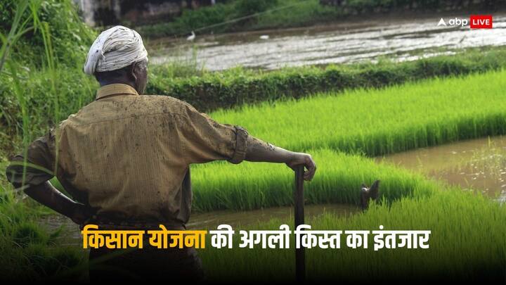 PM Kisan Yojana: पीएम किसान योजना की अगली किस्त कुछ ही दिनों में जारी होने वाली है, ऐसे में किसानों को इसका बेसब्री से इंतजार है. ये इस साल की पहली किस्त होगी.