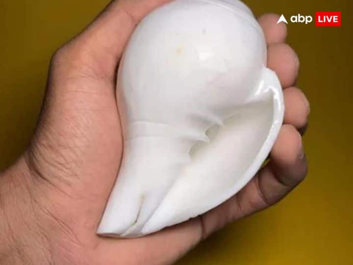 अगर आप अपने घर से वास्तु दोष को दूर करना चाहते हैं तो अपने घर में शंख जरुर रखें. साथ ही शंख को रोज नित्य नियम से बजाएं.