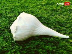 Vastu Tips: घर में शंख रखने से दूर हो सकता है घर का वास्तु दोष, यहां पढ़ें