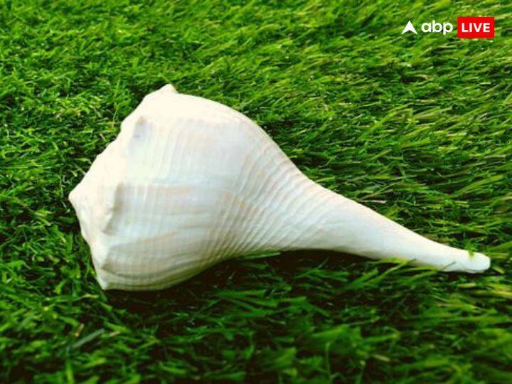 शंख हमारे शास्त्रों में बहुत महत्वपूर्ण बताया गया है. हिंदू में धर्म में पूजा के दौरान शंख नाद किया जाता है, इसको बहुत ही ज्यादा शुभ माना गया है. वास्तु के भी अनुसार शंख को बहुत महत्वपूर्ण माना गया है.