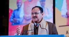 बीजेपी ने 7 केंद्रीय मंत्रियों के टिकट काटे, सिर्फ 4 नेताओं को दोबारा बनाया राज्यसभा का उम्मीदवार, क्या है इसका मैसेज