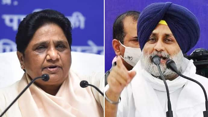 Bahujan Samaj Party broke alliance with Akali Dal SAD BSP Alliance: ਅਕਾਲੀ ਦਲ ਰਹਿ ਗਿਆ ਇਕੱਲਾ, ਨਾ ਭਾਜਪਾ ਵਾਲਿਆਂ ਨੇ ਹੱਥ ਮਿਲਾਇਆ ਤੇ ਹੁਣ BSP ਨੇ ਵੀ ਗਠਜੋੜ ਤੋੜਿਆ 