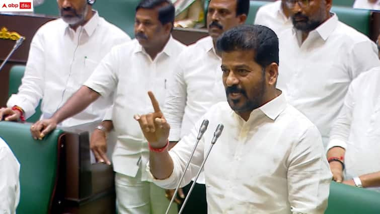 telangana cm revanth reddy slams brs chief kcr in telangana assembly CM Revanth Reddy: 'చచ్చిన పామును ఎవరైనా చంపుతారా?'- కేసీఆర్ పై సీఎం రేవంత్ రెడ్డి తీవ్ర ఆగ్రహం