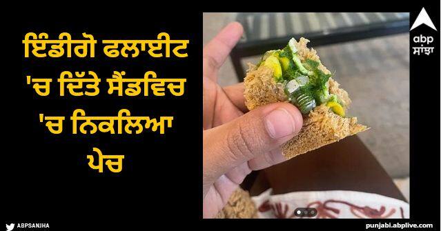 indigo passenger finds a screw in sandwich given in flight shares pic Viral News: ਇੰਡੀਗੋ ਫਲਾਈਟ 'ਚ ਦਿੱਤੇ ਸੈਂਡਵਿਚ 'ਚ ਨਿਕਲਿਆ ਪੇਚ, ਯਾਤਰੀ ਨੇ ਸ਼ੇਅਰ ਕੀਤੀ ਤਸਵੀਰ