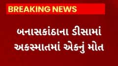 Banaskantha News : ડીસામાં બની અકસ્માતની ઘટના, બનાસ નદી પરના નવા બ્રિજ પાસે અકસ્માતમાં એકનું મોત