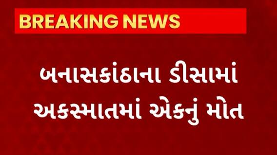 Banaskantha News : ડીસામાં બની અકસ્માતની ઘટના, બનાસ નદી પરના નવા બ્રિજ પાસે અકસ્માતમાં એકનું મોત