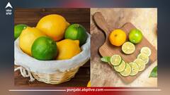 Lemon Benefits: ਵਿਟਾਮਿਨ ਸੀ ਨਾਲ ਭਰਪੂਰ ਨਿੰਬੂ ਸਿਹਤ ਲਈ ਵਰਦਾਨ, ਜਾਣੋ ਇਸ ਦੇ ਚਮਤਕਾਰੀ ਫਾਇਦੇ