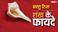 Vastu Tips: घर में शंख रखने से दूर हो सकता है घर का वास्तु दोष, यहां पढ़ें