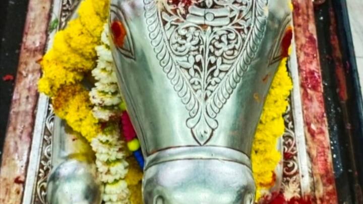 मुंबई से आई प्रतिभा सिंह ने बताया कि महाकालेश्वर मंदिर में सरसों के फूल और भगवान का अद्भुत श्रंगार देखकर वह धन्य हो गई. उन्होंने बताया कि इस प्रकार के दर्शन और बसंत उत्सव की उन्हें पहले जानकारी नहीं थी. यह पल उनके लिए काफी अद्भुत बन गए.