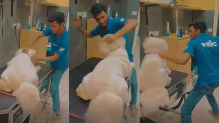 dog chow Chow brutally beaten at Vet clinic in Thane Maharashtra groomers arrested by police Thane News: ठाण्यातील व्हेट क्लिनिकमध्ये संतापजनक प्रकार, कर्मचाऱ्याकडून पाळीव कुत्र्याला अमानुष मारहाण