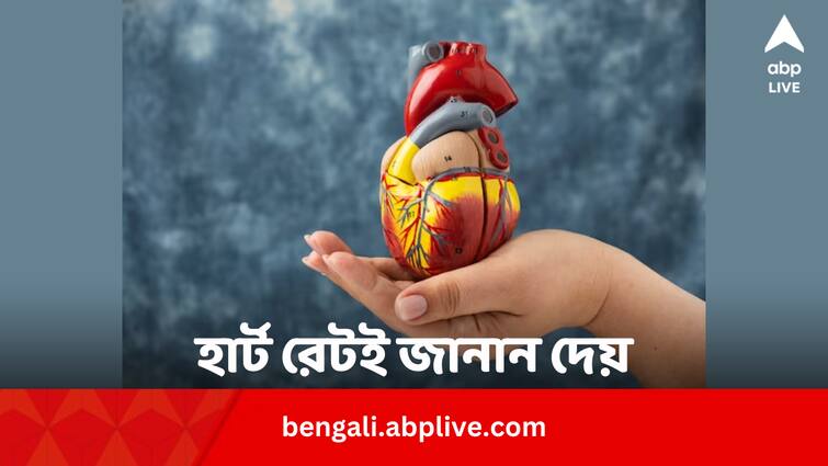 Target Heart Rate While Doing Any kind of Exercise know calculation Target Heart Rate: হার্ট রেটই ধরিয়ে দেয় ব্যায়ামের ‘বাড়াবাড়ি’ ! বুঝবেন কীভাবে