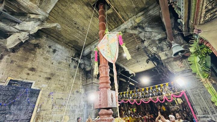 Throughout the 12-day festival, daily processions of the Lord will take place. (Credit: ABP Nadu)