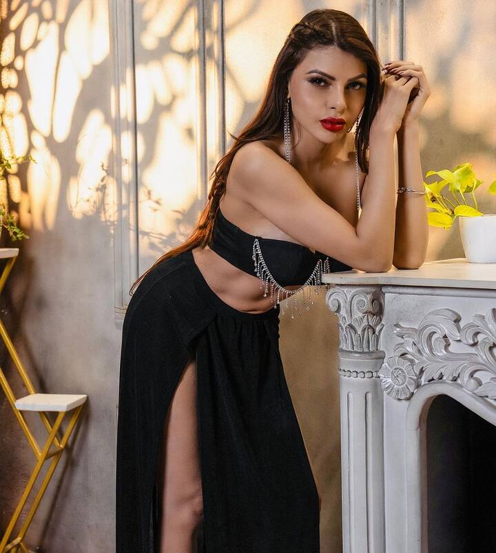 શર્લિન ચોપરાના બોલ્ડ એક્ટ્ને જોઈને ફેન્સ તેની તસવીરોની રાહ જોતા રહે છે.